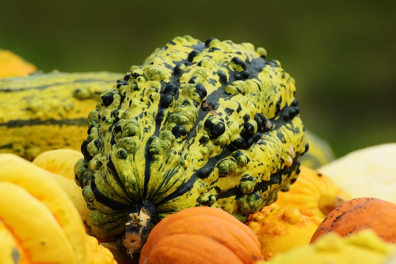 Seasonal Produce