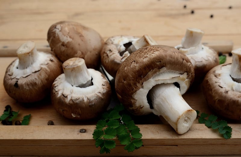 Mushroom Risotto
